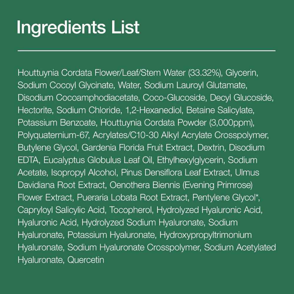 Heartleaf Quercetinol Porentiefenreinigungsschaum