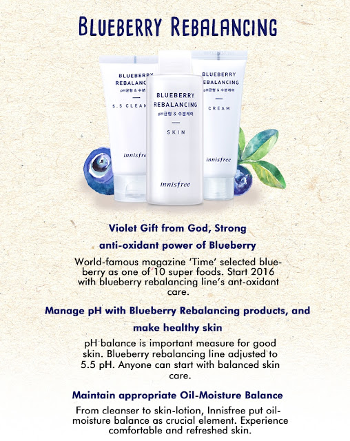 Blueberry Rebalancing Skin