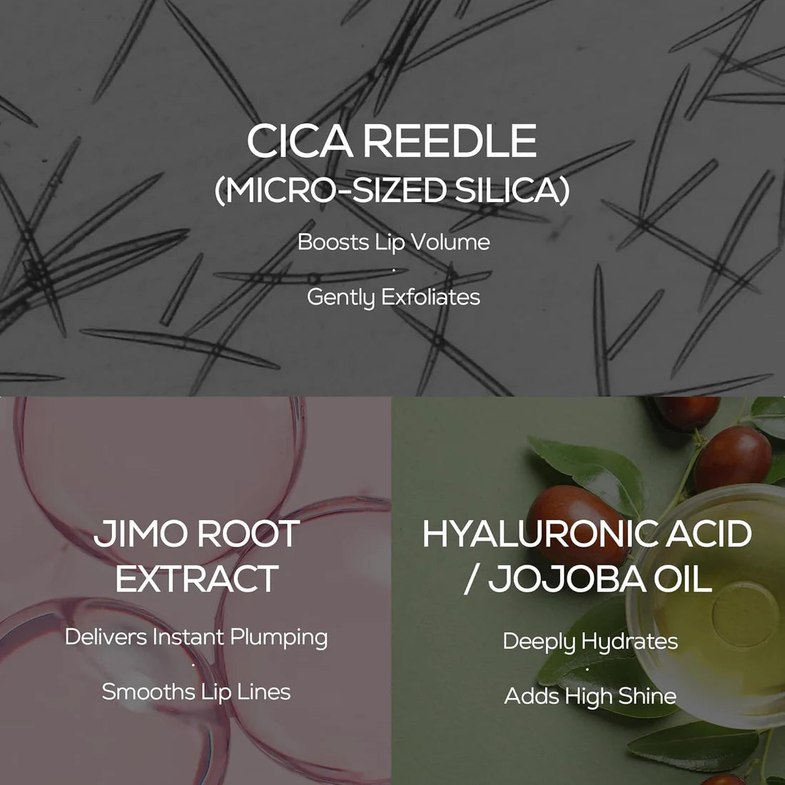 Infografiek voor lipplumper met CICA-boost, hyaluronzuur en jojoba-olie