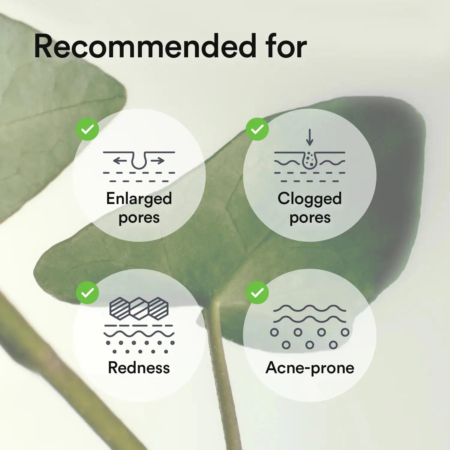Abib Collagen Gel Mask Heartleaf Jelly Abib collageen gelmasker met hartblad, infographic met pictogrammen voor huid