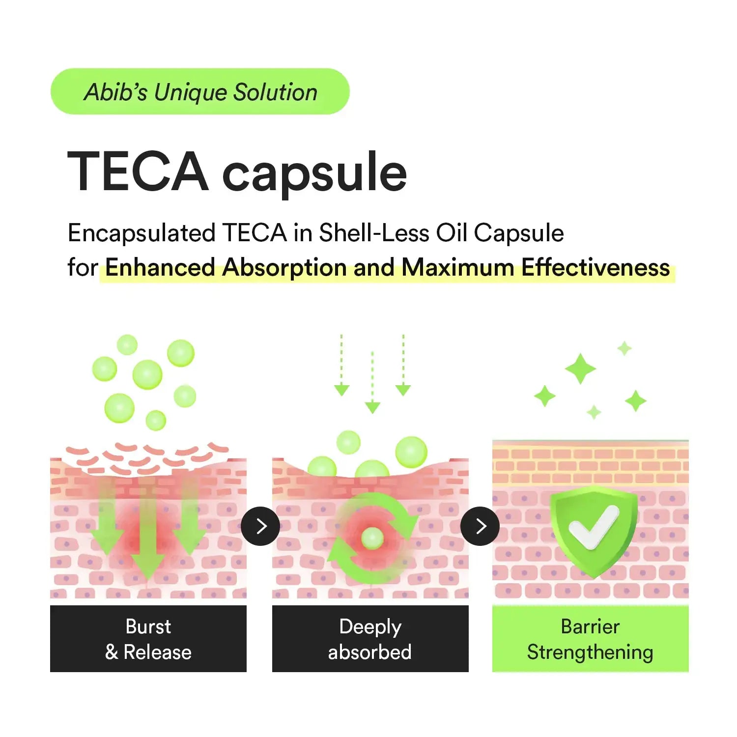 Abib Heartleaf Teca Capsule Serum Calming Drop TECA capsule infographic met drie stappen: Burst & Release, Deeply absorbed, Barrier Strengthening