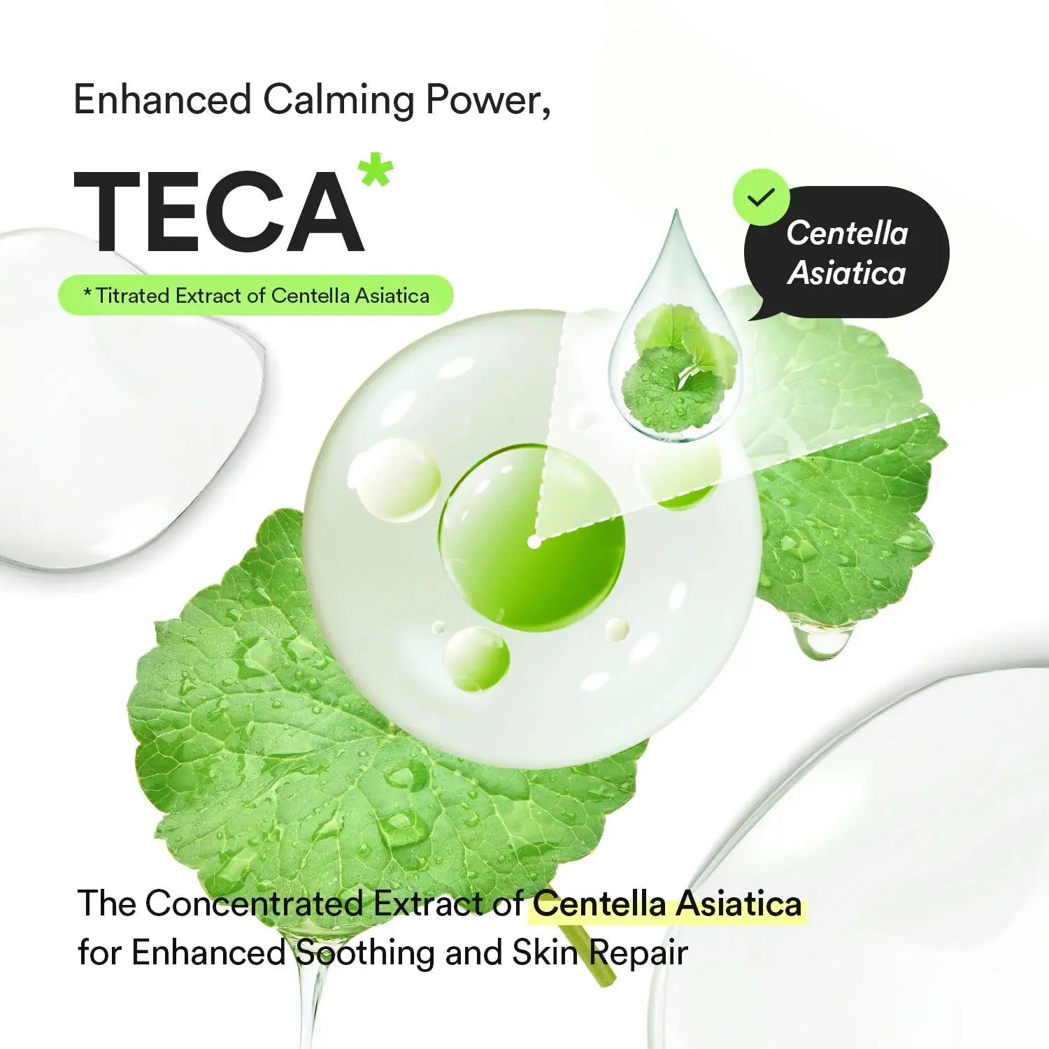 Abib Heartleaf Teca Capsule Serum Calming Drop TECA kalmerende werking infographic met Centella asiatica blad en groene serum-druppel