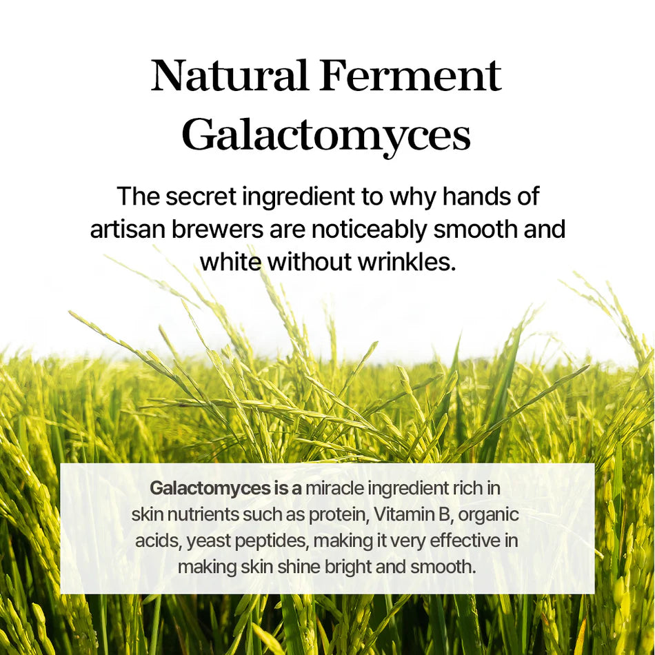 Galactomyces Ferment EssenceINGREDIENTS
