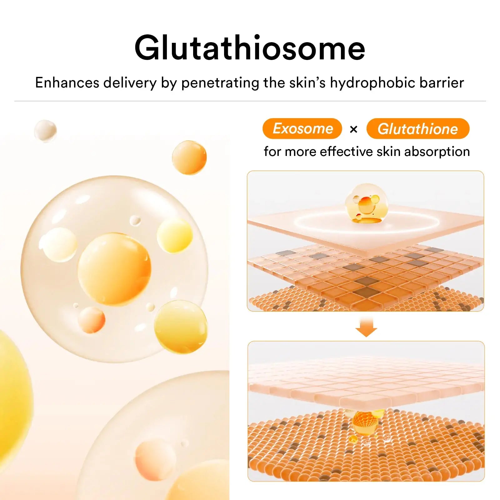 Abib Glutathiosome dark spot cream Vita tube Glutathiosome crème met gele exosoomillustraties en absorptieschema