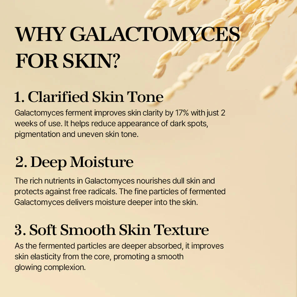 Galactomyces Ferment Essence WHY