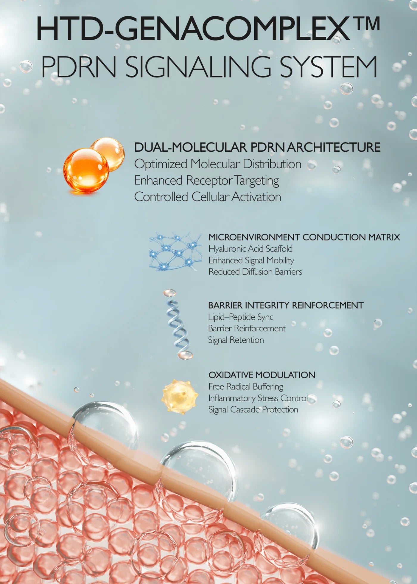 PDRN VITA Toning Ampoule