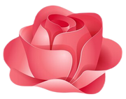 K-skincare logo